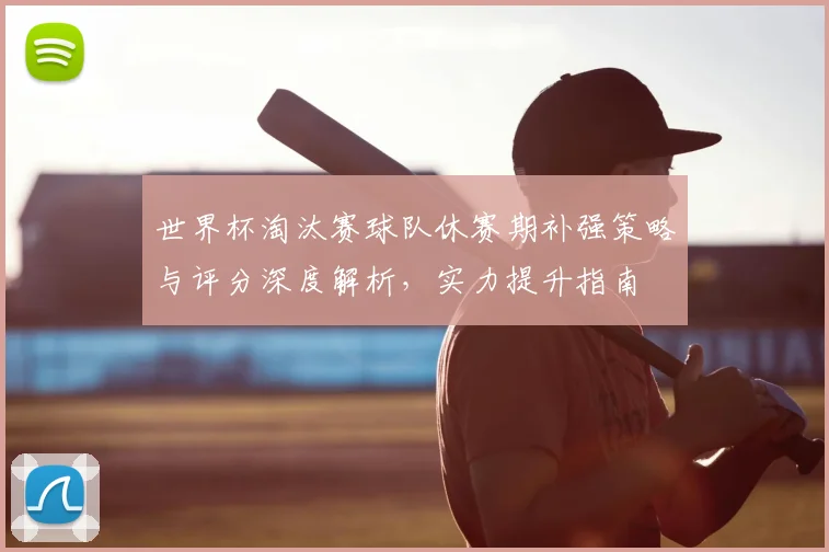 世界杯淘汰赛球队休赛期补强策略与评分深度解析，实力提升指南